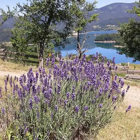Bella, Tara, Zaovinsko Jezero Zaovine