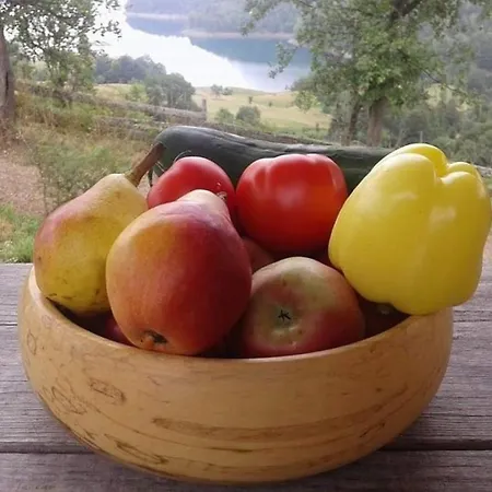 Chalet Bella, Tara, Zaovinsko Jezero