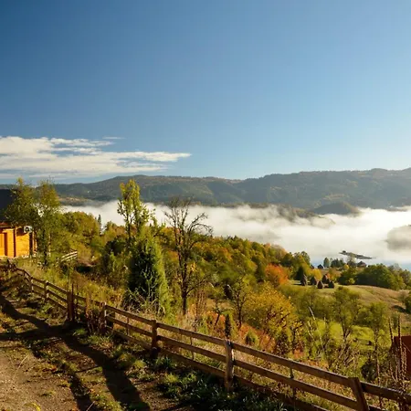 Bella, Tara, Zaovinsko Jezero * Zaovine