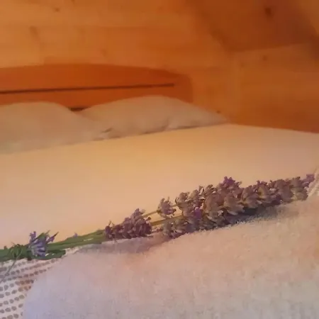 Bella, Tara, Zaovinsko Jezero בקתה *