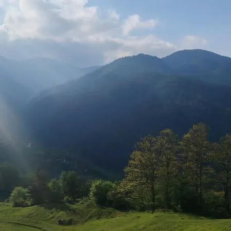 Bella, Tara, Zaovinsko Jezero בקתה *