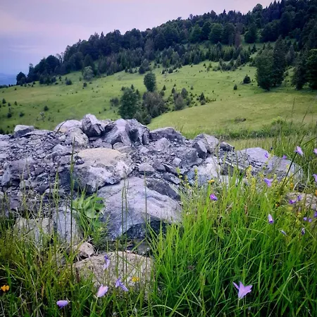 Bella, Tara, Zaovinsko Jezero בקתה Zaovine