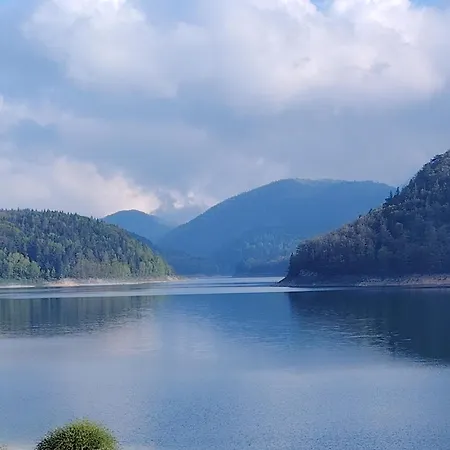 Bella, Tara, Zaovinsko Jezero *