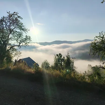 Bella, Tara, Zaovinsko Jezero *